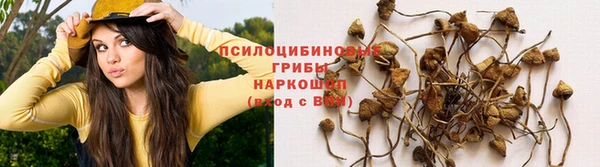 первитин Армянск