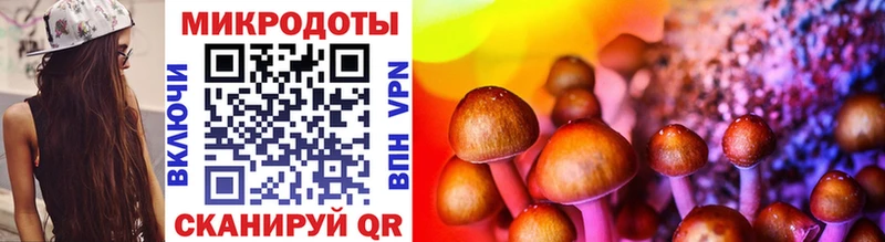 Псилоцибиновые грибы прущие грибы  Купить  Сосновка 